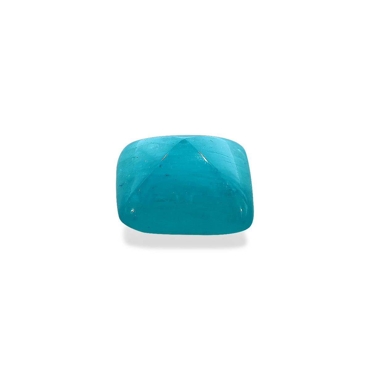 Paraiba Tourmaline 13.88 ct